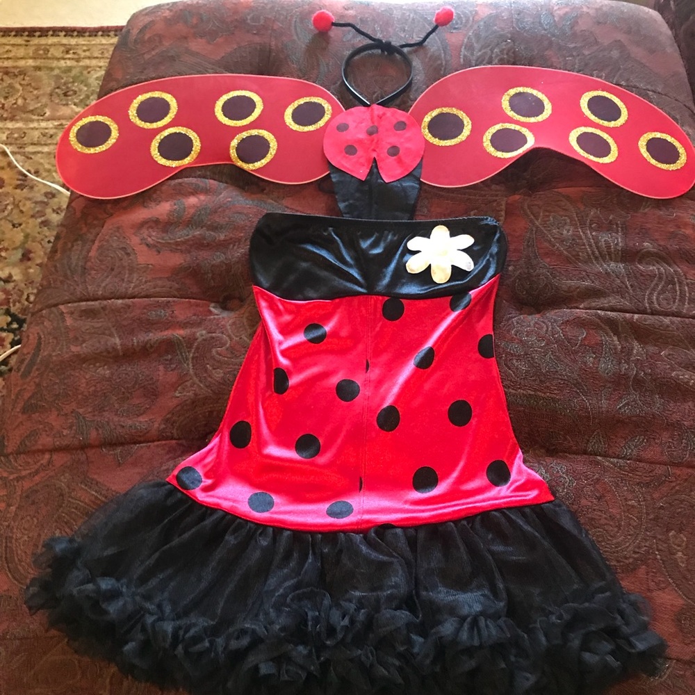 Lady bug adult costume